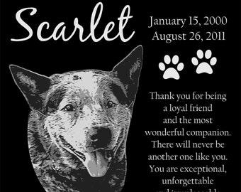 May include: Black and white photo of a dog named Scarlet. The dog is a blue heeler with a white chest and white markings on its face. The photo is surrounded by text that reads "Forever Loved and Remembered", "January 15, 2000", "August 26, 2011", "Thank you for being a loyal friend and the most wonderful companion. There will never be another one like you. You are exceptional, unforgettable and irreplaceable. You are truly missed."