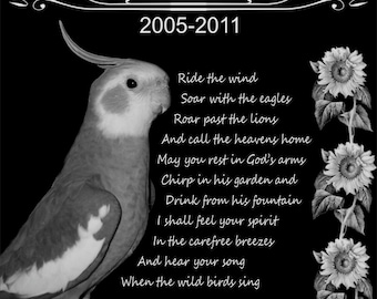 Personalized Cockatiel Bird Pet Memorial 12x12 Inch Custom Engraved Granite Grave Marker Plaque Headstone "Buckbeak"