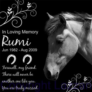 Personalized Horse Pet Memorial 12&quot;x12&quot; Custom Engraved Granite Grave Marker Plaque &quot;Rumi&quot;