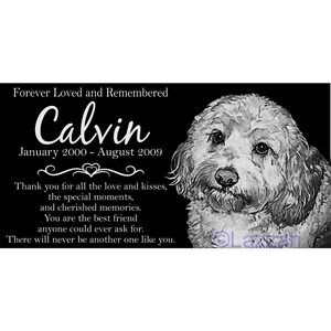 May include: Black and white photo of a dog named Calvin. The photo is on a black background with a white inscription that reads "Forever Loved and Remembered Calvin January 2000 - August 2009 Thank you for all the love and kisses, the special moments, and cherished memories. You are the best friend anyone could ever ask for. There will never be another one like you."