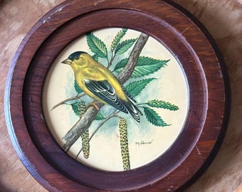 Vintage Round Framed Yellow Bird Print, 8” Wood Frame, Botanical Cottage Wall Art