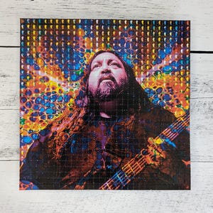 Widespread Panic Blotter Art, Widespread Panic Stickers, Widespread Panic Pins, Widespread Panic Tshirt Hoodie - 03 Dave
