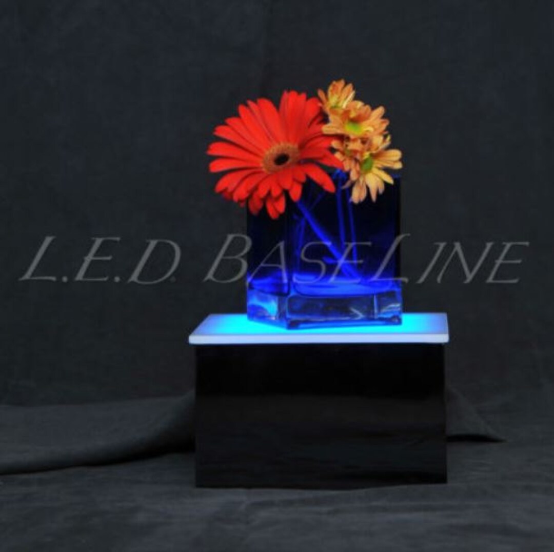 Lightbox 8x8x5 Display Stand/ PEDESTAL 4 Sculptures, Flowers, Crystals