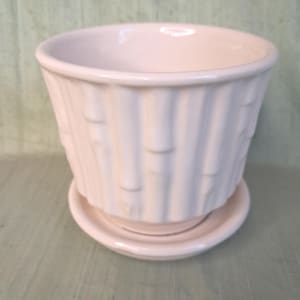Puede incluir: Una maceta de cerámica de color rosa claro con su plato a juego. El exterior de la maceta presenta una textura vertical en relieve que recuerda al bambú con un acabado brillante. La maceta tiene una abertura circular ancha y base cónica.