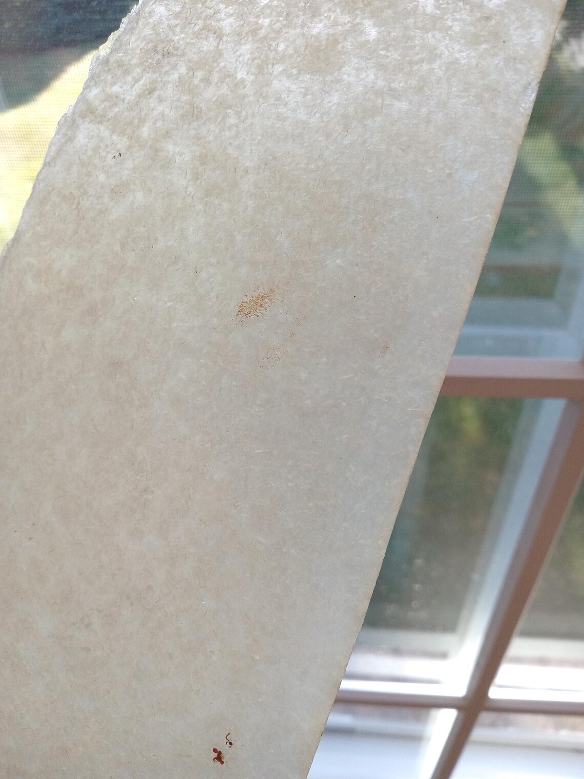 Translucent Mica Mica Sheet Lot / Beige Mica Pieces, 5 Oz. / Free Form Mineral ...