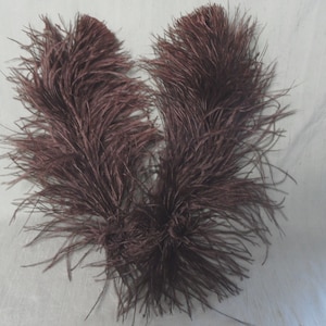 Fancy Blackish Ostrich Feather Piece / Victorian vintage flower and drab plume