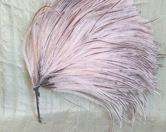 Millinery ostrich hat feather / vintage black and white