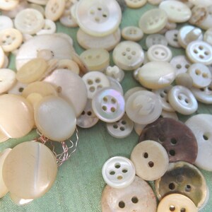 May include: A collection of white and cream colored pearl buttons of various sizes and shapes. The buttons are arranged in a random pattern on a green fabric surface.