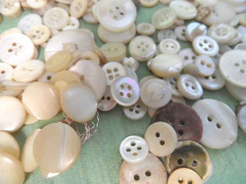 May include: A collection of white and cream colored pearl buttons of various sizes and shapes. The buttons are arranged in a random pattern on a green fabric surface.