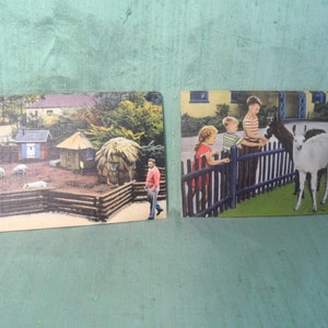 20 cartes postales de zoo inutilisées Zoo pour enfants de Detroit Belle Isle / vintage, lin, lama, cochon Michigan
