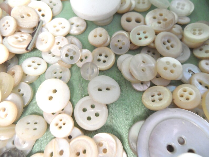 May include: A large collection of white pearl buttons of various sizes and styles. The buttons are arranged in a random pattern on a green surface.