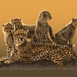 ★デイジー『 Cheetah family B/W 』by Zuberi ☆デイジー『 Cheetah family B/W 』by Zuberi ☆デイジー
