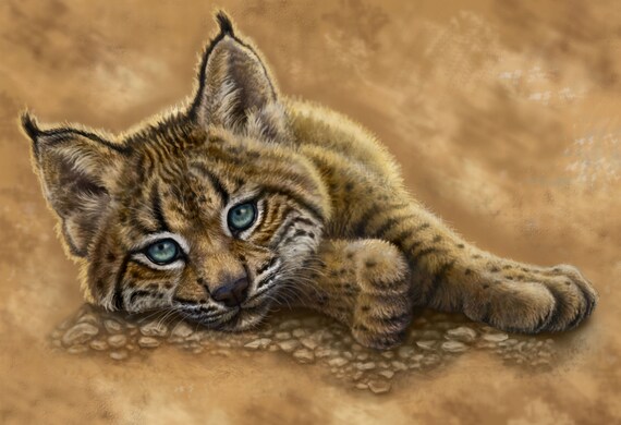 Iberian Lynx Print Etsy Iberian Lynx Print Etsy