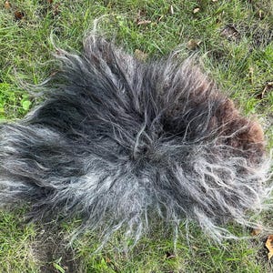 Handmade Icelandic Wool Fleece Rug: Vegan Pelt, Pet Bed, LARP Viking Costume