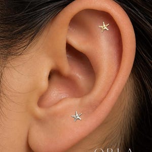 Titanium Tiny Starfish Flat Back Earring, Gold/Silver Starfish Stud, Titanium Cartilage Earring, Ocean Jewelry, Helix Tragus Conch Piercing