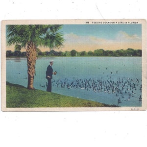 Carte postale : Nourrir des canards en Floride, peut-être le lac des Quatre-Cantons, linge de maison des années 30 et 40, non emballé, souvenir de voyage, capitaine de navire, cadeau upcycle