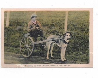 Early 1900s Tinted Postcard of Dog Cart, Quebec, Canada, Unposted, Un Atteiage de Chien, Travel Souvenir Ephemera,