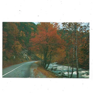 Jaren 1970 Ansichtkaart van Little River bij Fall, Great Smoky Mountains National Park, Tennessee, Unposted, Walter Cline Photo,