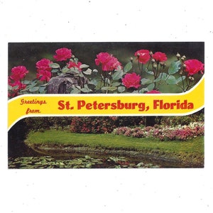 1960er Postkarte mit Grüßen aus St. Petersburg, Florida, Unposted, 2 Ansichten von Blumen, Reise Souvenir,