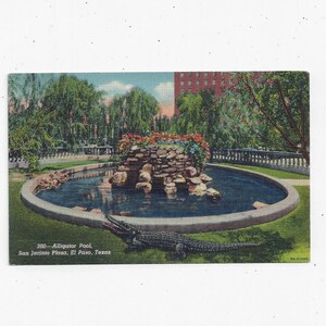 Carte postale avec piscine en alligator à El Paso, Texas, lin des années 40, à San Jacinto Plaza, sans encadrement, 3,5 x 5,5 po. Souvenir de voyage, alligators d'animaux sauvages
