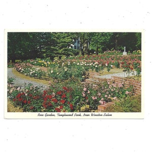 Rosengarten in Tanglewood Park in Clemmons, North Carolina, in der Nähe von Winston Salem, US Landstraße 158, ungepostet, Reiseandenken, Upcycle-Versorgungsmaterial