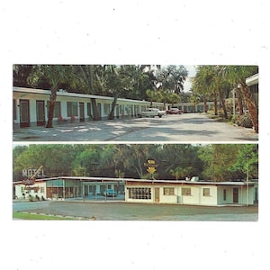 Carte postale Petrock’s Motel & Restaurant des années 1960, Ormond Beach, Floride, près de la rivière Tomoka, non postée, Souvenir de voyage éphémère, Split View