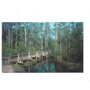 Carte postale des années 1960 du parc du marais d’Okefenokee, Waycross, Géorgie, non postée, souvenir de voyage,