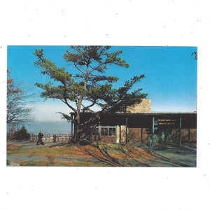 Skyland Speisezimmer Restaurant Postkarte, Shenandoah Nationalpark, Virginia, nicht gepostet, Blue Ridge Reise Souvenir, Upcycle Scrapbook, 1970er Jahre