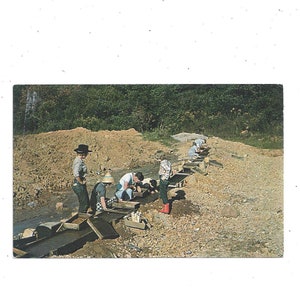 Pode incluir: Um grupo de pessoas procurando ouro em um riacho. Eles estão usando longas calhas de madeira para separar o ouro da sujeira e da água.