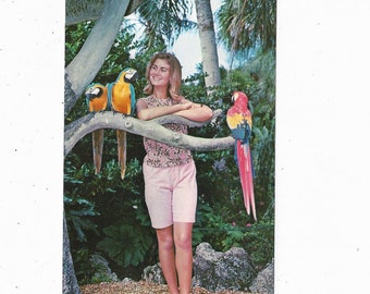 1968 Sunken Gardens Tropical Birds, St. Petersburg, Florida, Posted with Message, 5 Cent Stamp Travel Souvenir, Sunshine State, Upcycle