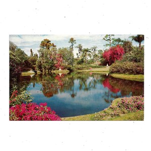 Années 60, Carte postale Cypress Gardens, Floride, Sans encadrement, Reflection Pool, Southern Belles, Sunshine State, Souvenir de voyage