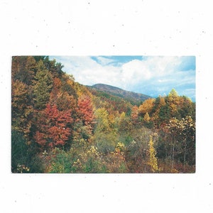 Fightin Creek Gap briefkaart, Great Smoky Mountains National Park, Tennessee, ongeposte, Walter Cline foto, Upcycle Scrapbook aanbod