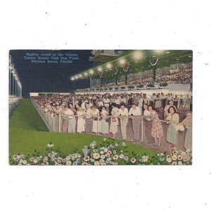 1950er Jahre Volusia County Kennel Club Dog Race Postkarte, Daytona Beach, Florida, ungepostet, Rennstrecke, Reise-Souvenir,