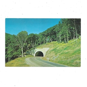 Birch Spring Tunnel ansichtkaart, Blue Ridge Pkwy, North Carolina, tussen Asheville & Mt. Pisgah, ongepost, reissouvenir, scrapbook Upcycle