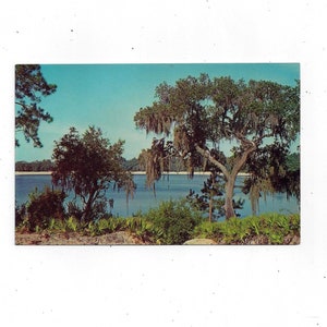 1960er Postkarte von Crystal Lake, Irwin County, Georgia, Unposted, Reise Souvenir, Storied ehemaliges Wasserresort