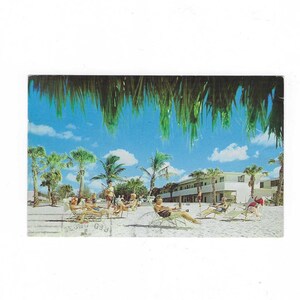 May include: Vintage postcard featuring a beach scene with people relaxing in lounge chairs under palm trees. The sky is blue with fluffy clouds, and the foreground shows green palm fronds. The text "RED GROUSE" is visible.