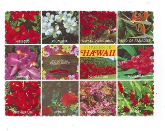 12 Flowers of Hawaii Postcard, Unposted From 1980s, Travel Souvenir, Upcycle Scrapbook Supply, Hibiscus, Plumeria, Royal Poinciana, More