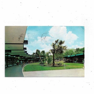 1960 Postkarte von Silver Springs, Florida, Geschrieben mit 3 Cent Stempel, Botschaft, Reise Souvenir, Pub. by Mozert Studio
