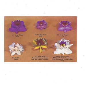 Cartão postal de corsages de orquídeas por Rainbow Flowers of Hawaii, Honolulu, não postado, lembrança de viagem, 50º estado, baile de formatura, casamento, evento formal, década de 1960