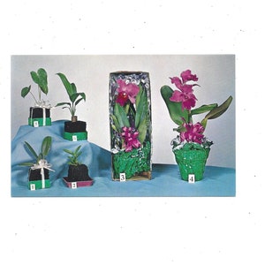 Cartão postal de buquês do Havaí por Rainbow Flowers of Hawaii, Honolulu, não postado, lembrança de viagem, 50º estado, baile de formatura, casamento, formal, década de 1960
