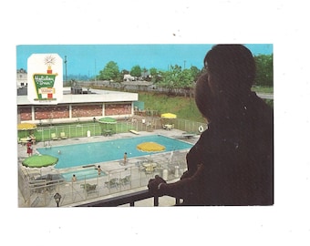 1960s Knoxville Postcard of Holiday Inn Central, 17th Street, Tennessee, Unposted, Travel Souvenir Ephemera, Old Motel