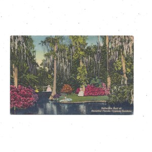 1954 Cypress Gardens Leinen Postkarte, Florida, mit Nachricht, 2-Cent-Briefmarke, Reflection Pool, Südliche Schönheiten, Sunshine State, Andenken
