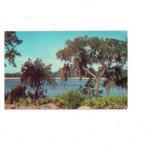 Postal de la década de 1960 de Crystal Lake, condado de Irwin, Georgia. Sin pegar, recuerdo de viaje, antiguo balneario histórico.