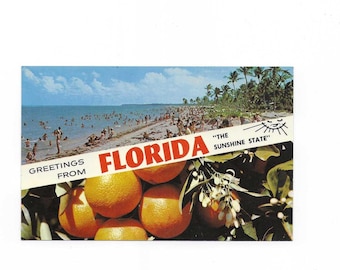 Greetings from Florida Postcard with 2 Views, Banner Style, Unposted, The Sunshine State, Travel Souvenir, Upcycle Scrapbook Supply