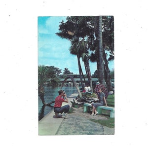 1963 Carte postale de Silver Springs, Floride, Postée avec timbre de 5 cents, message écrit à la main, souvenir de voyage, pub.