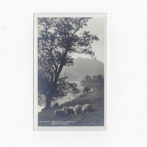 Carte postale avec photo réelle représentant une scène de moutons « Tôt le matin » à Rydal Waters, Cumbria, Angleterre, 3,5 x 5,5 pouces, photo de G P Abraham, Lake District