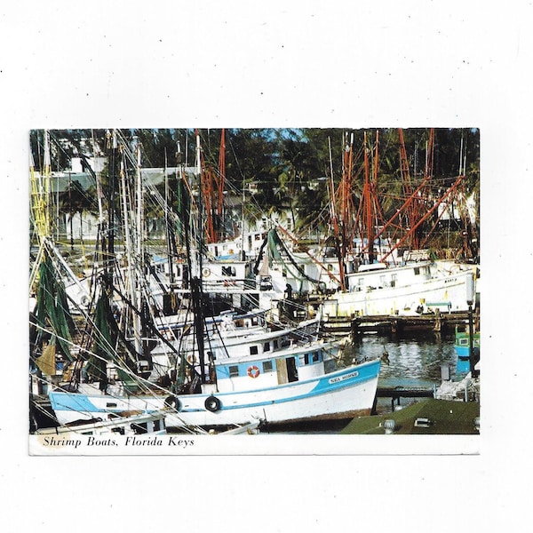 1981 Postcard of Shrimp Boats in the Florida Keys, Posted with Message, 12 Cent Stamp, Travel Souvenir, Fish Industry, Gulfstream Card Co.