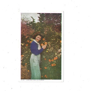 Cartão postal dos anos 1950 de "Frutas deliciosas (laranjas) na Flórida", não postado, Pretty Lady, Pub. por cartão postal de Asheville, lembrança de viagem,