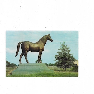 Pocztówka z brązową statuą wyścigowego konia Man O' War, z 1977 r., wyhodowana w Old Kentucky, wysłana ze znaczkiem 13 Cent, wiadomość, pamiątka z podróży