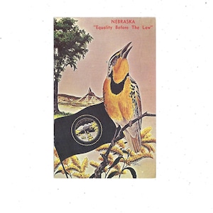 Nebraska State Bird Postcard, Opublikowano w 1971 roku z wiadomością, Znaczek 6 Cent, Chimney Rock, Flaga, Pamiątka z podróży, Western Meadowlark, Upcycle
